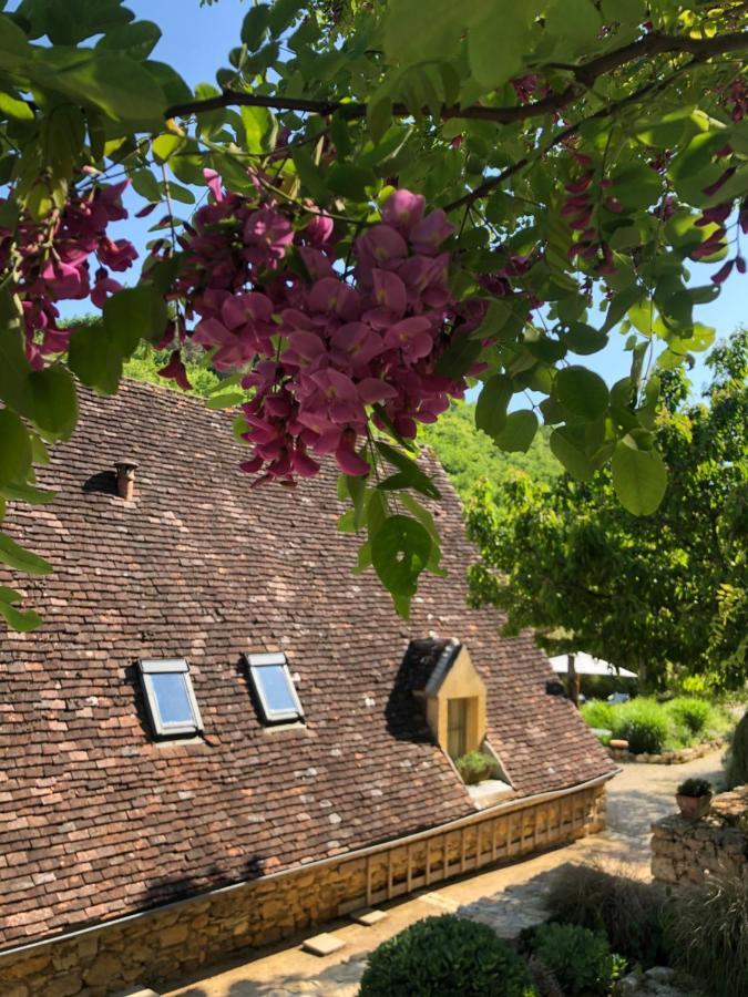 La Tour De Cause Bed and Breakfast Castelnaud La Chapelle Exteriör bild