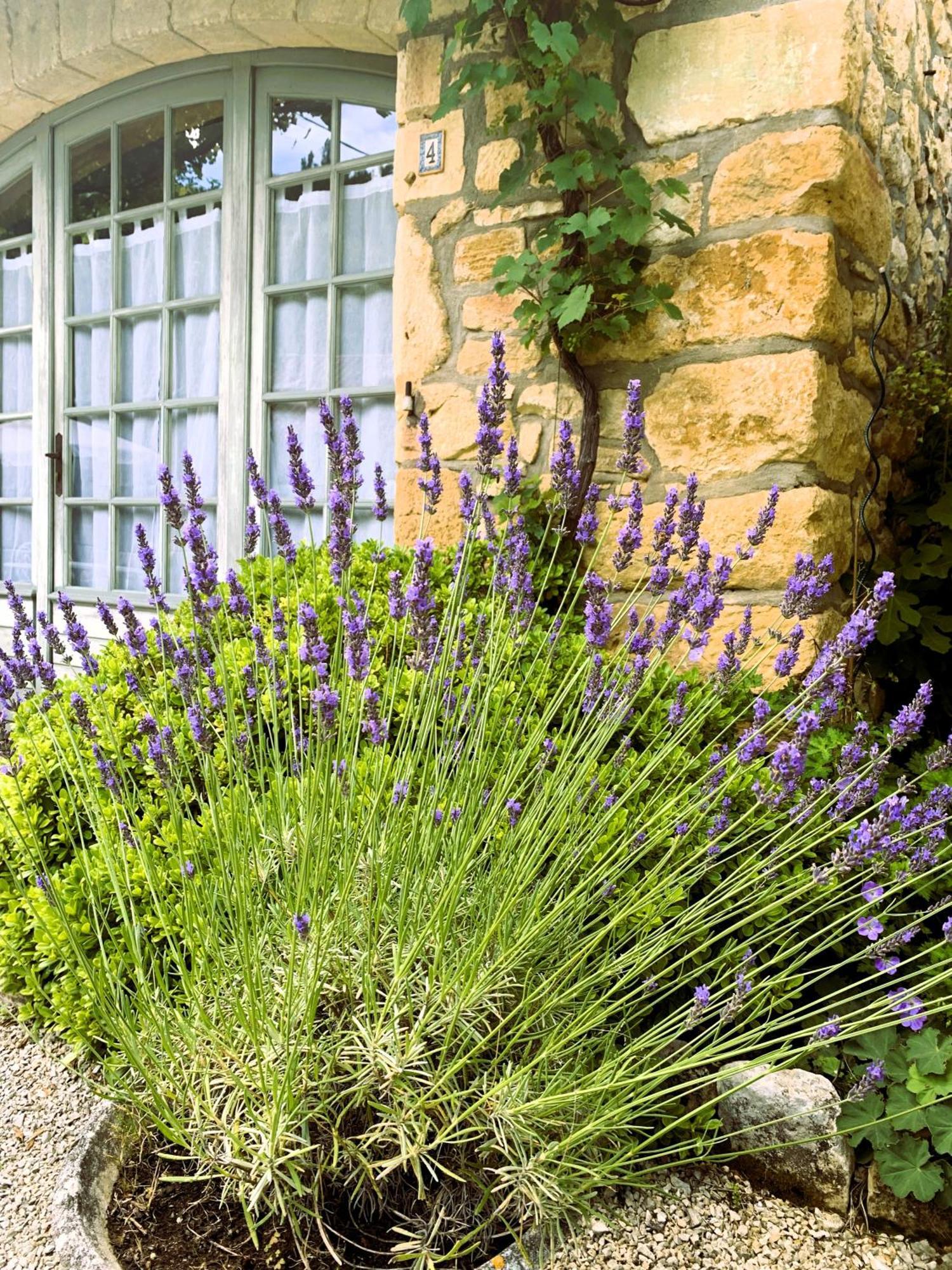 La Tour De Cause Bed and Breakfast Castelnaud La Chapelle Exteriör bild